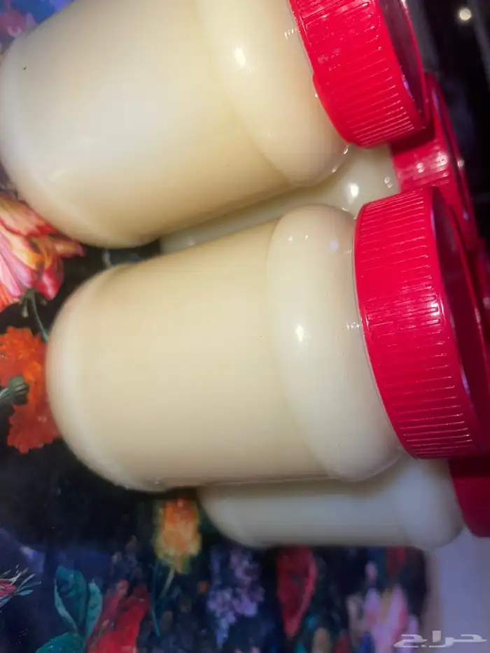 سمن غنم ضان بري اصلي وطيب بالحيل 0