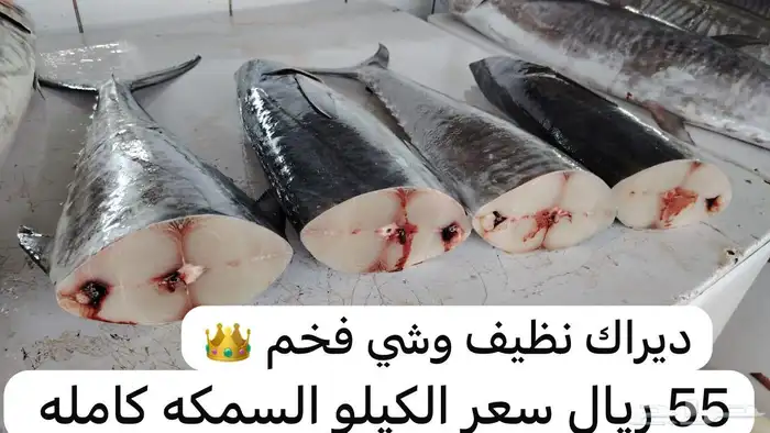 اسماك و ربيان سمك و جمبري هامور ناجل شعور طازج يوجد سمك حَي 17