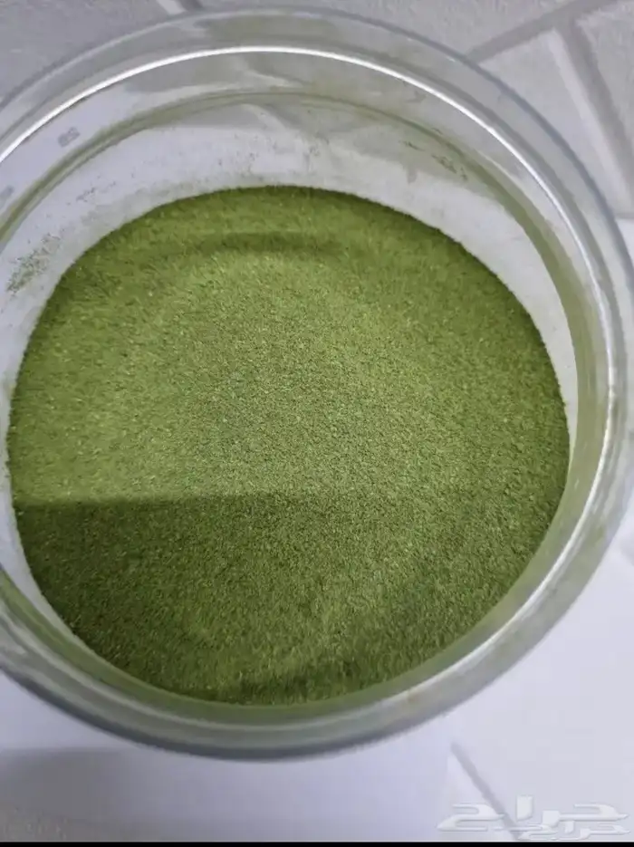 حنا وسدر المدينة المنوره بدون اي اظافات 2