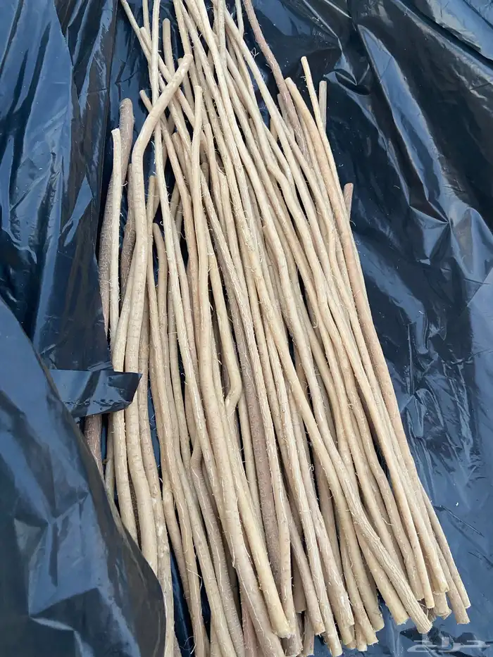 مساويك ممتازه جدا وافضل نوع ابو حنش نقاوه وعلى الشرط 2