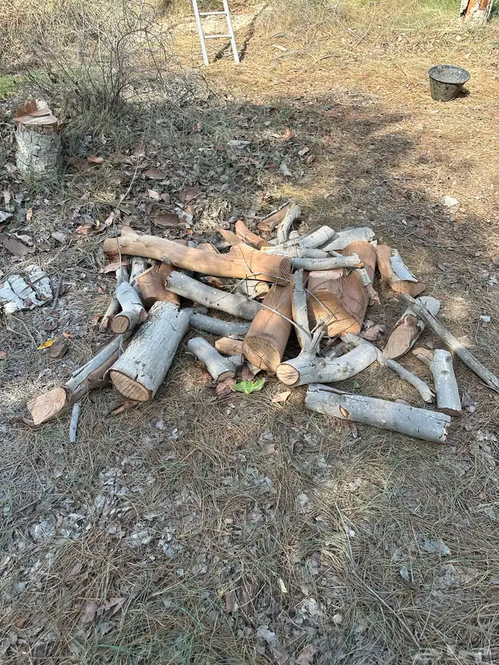 حطب للبيع 2