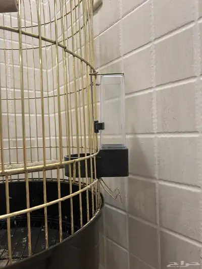 قفص 5