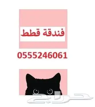 فندقة قطط وطيور 6061 24 0555 تقييمات ايجابية 2