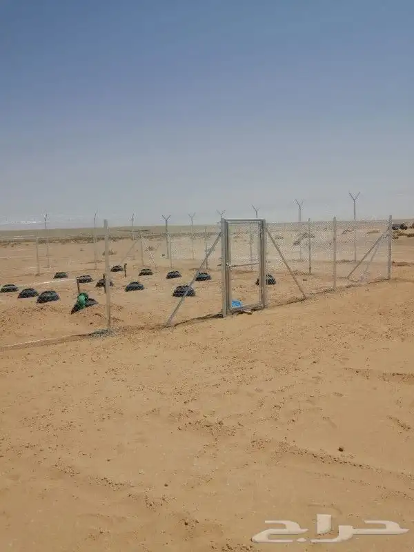 مقاول شبوك مزارع شبوك ملاعب جميع الشبوك 5
