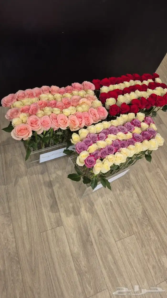 استاند ورود للإيجار 0