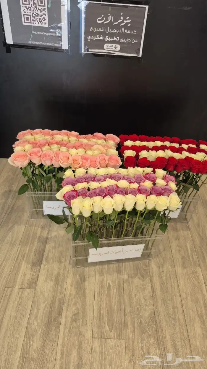 استاند ورود للإيجار 1