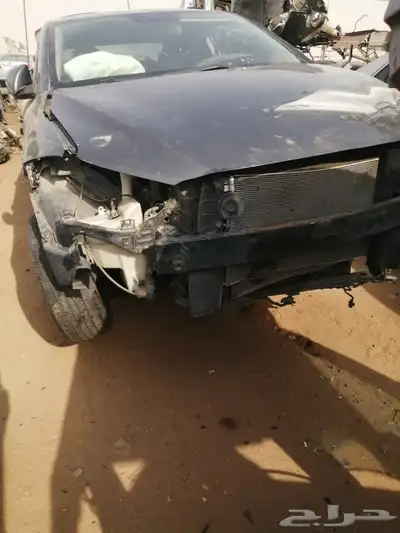إلنترا 2018 1