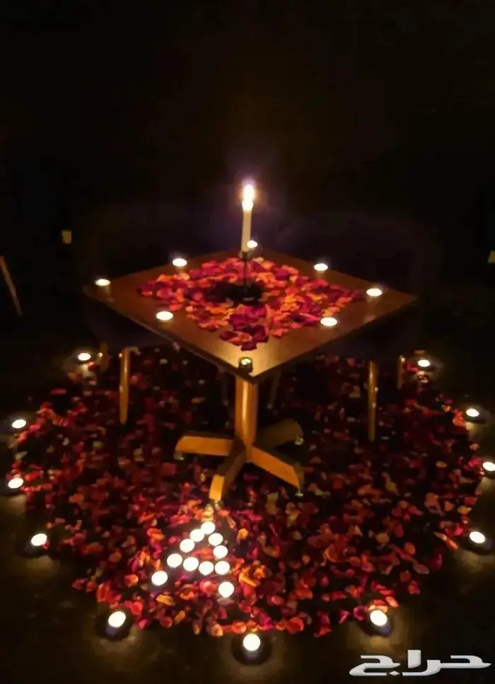 صناع السعادة بالقاهرة 38