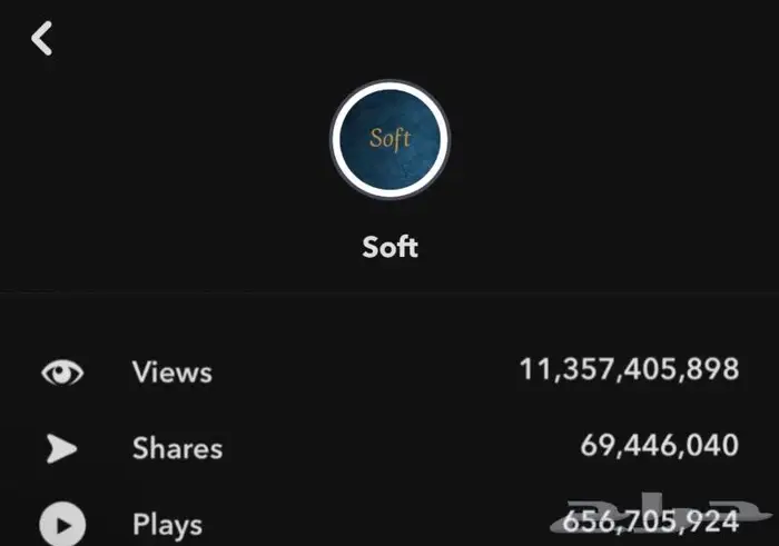 فلاتر سناب دائمة لصناع المحتوى 2