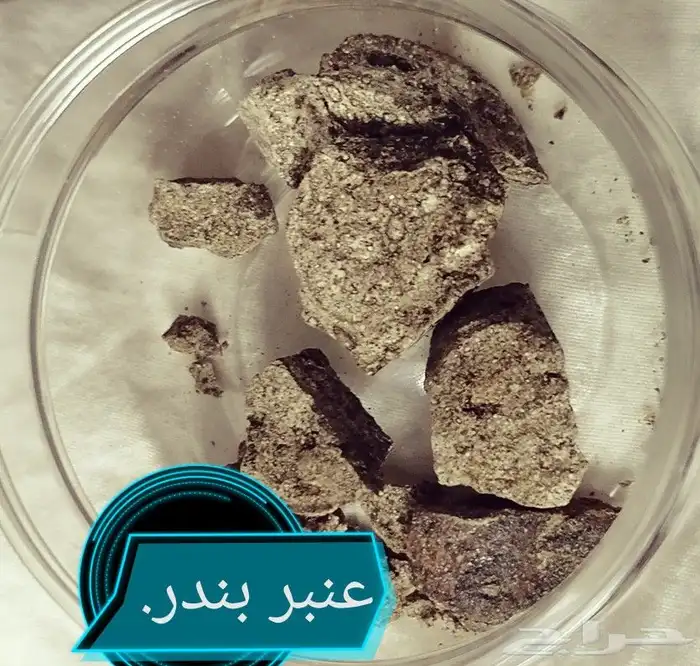 عنبر دخني اصلي. عسل سدر ملكي عصيمي اصلي. 1