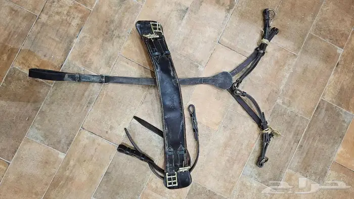 سرج اسباني مستعمل للبيع 8