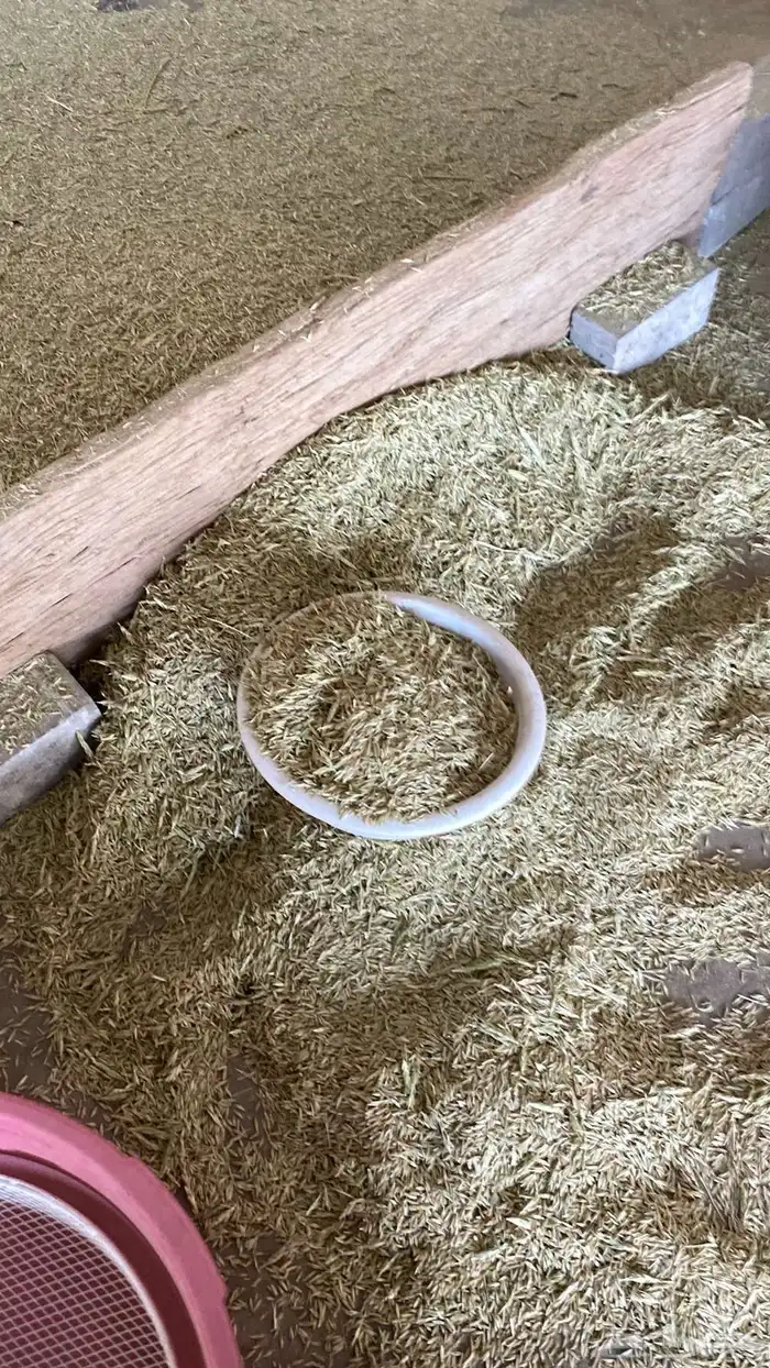 البيع سويقة بلدي مشروط 3