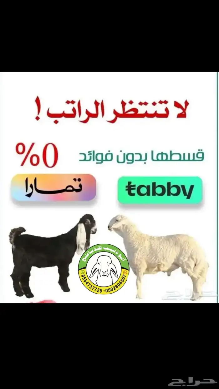 أبو ذيب للذبايح ( يتوفر ذبح وتوصيل لباب بيتك ) 0
