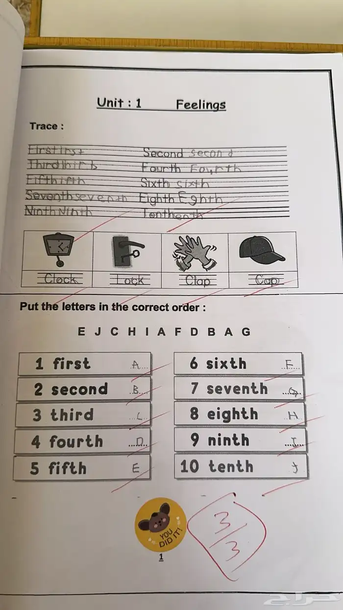 معلمه خصوصية تدريس وتأسيس لغتي رياضيات انجليزي 6
