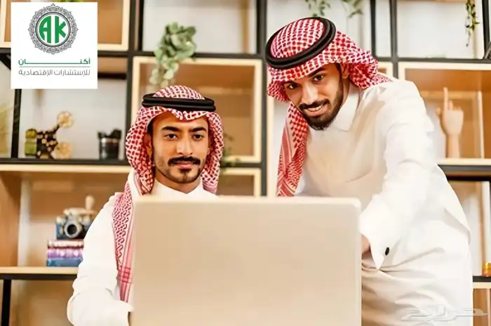 دراسه جدوى 0
