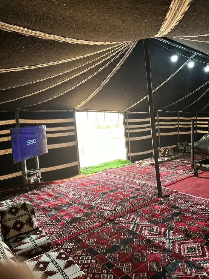 مخيم قسم قسمين 4