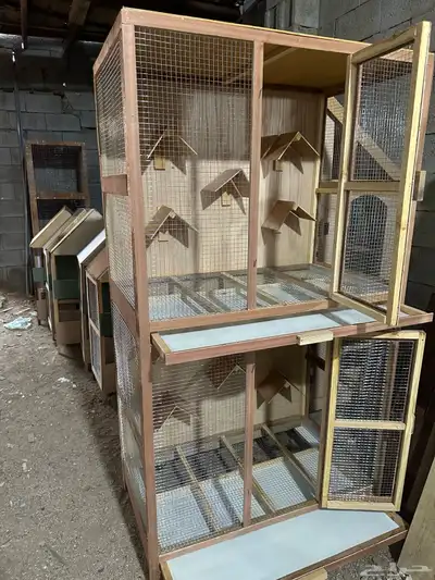محمر قفص 5