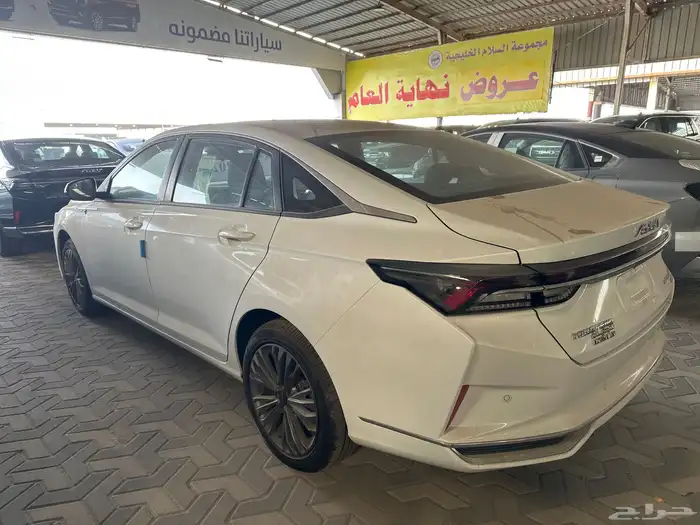 دونج فونج شاين A60 27