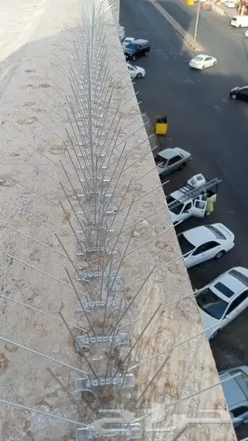 طارد الطيور والحمام تركيب شبك حمام شبابيك 1