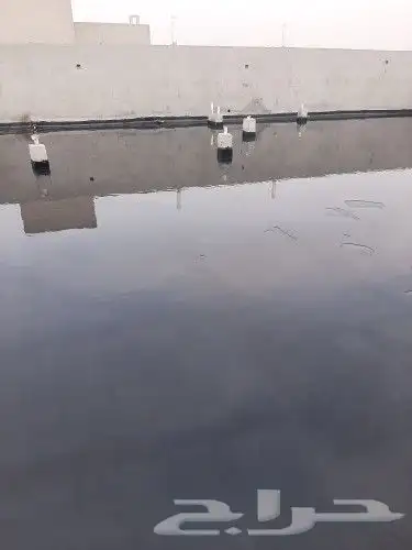 الفيصلي العوازل 0