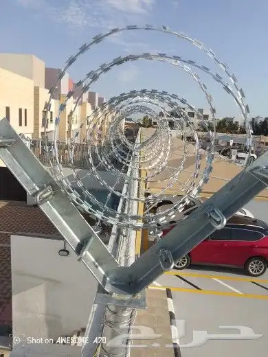 زراعه نخيل عربي واشنطني واعمال الشبوك وتوريدها 3