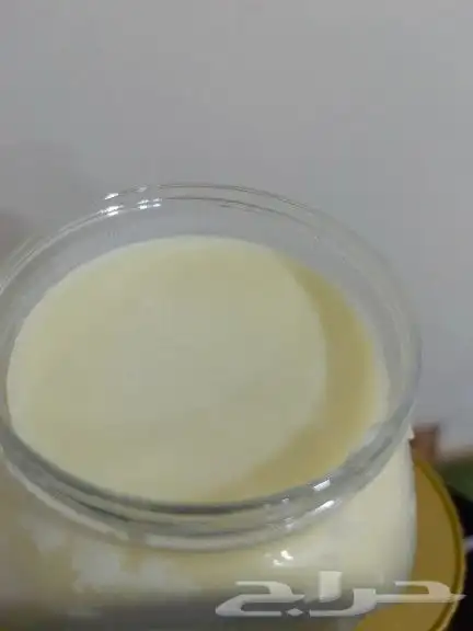 سمن بقر وغنم 8