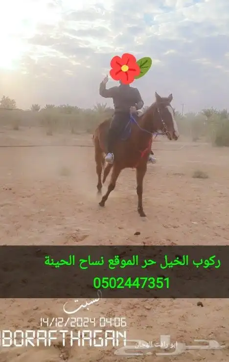 تعليم الفروسية وركوب الخيل 3