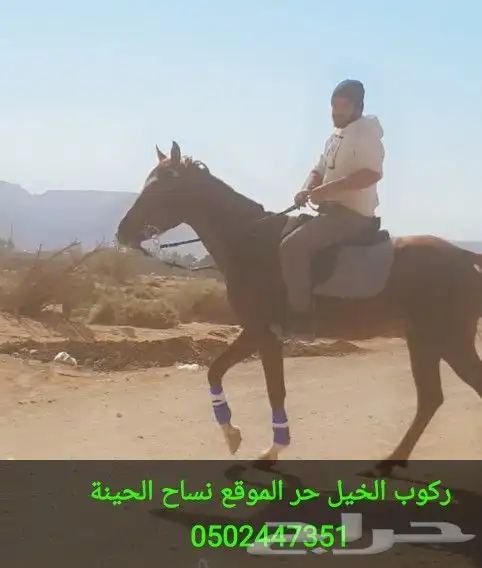 تعليم الفروسية وركوب الخيل 1