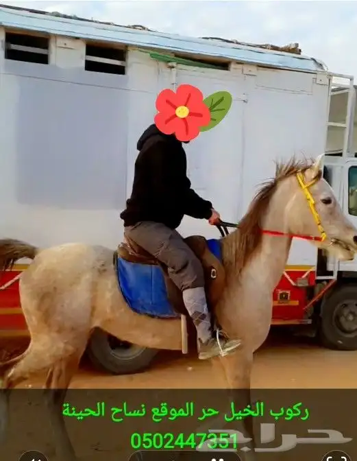 تعليم الفروسية وركوب الخيل 8