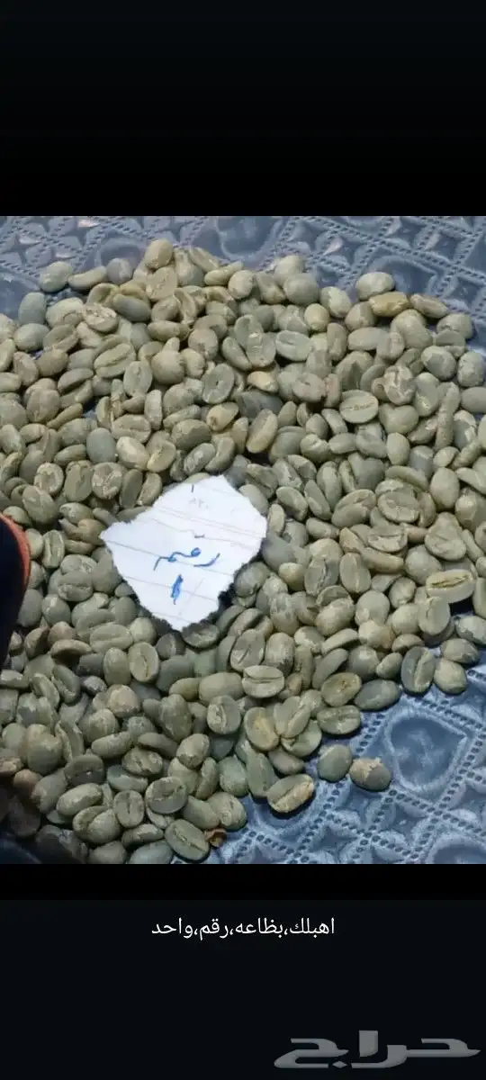 صافي خولاني يمني 0