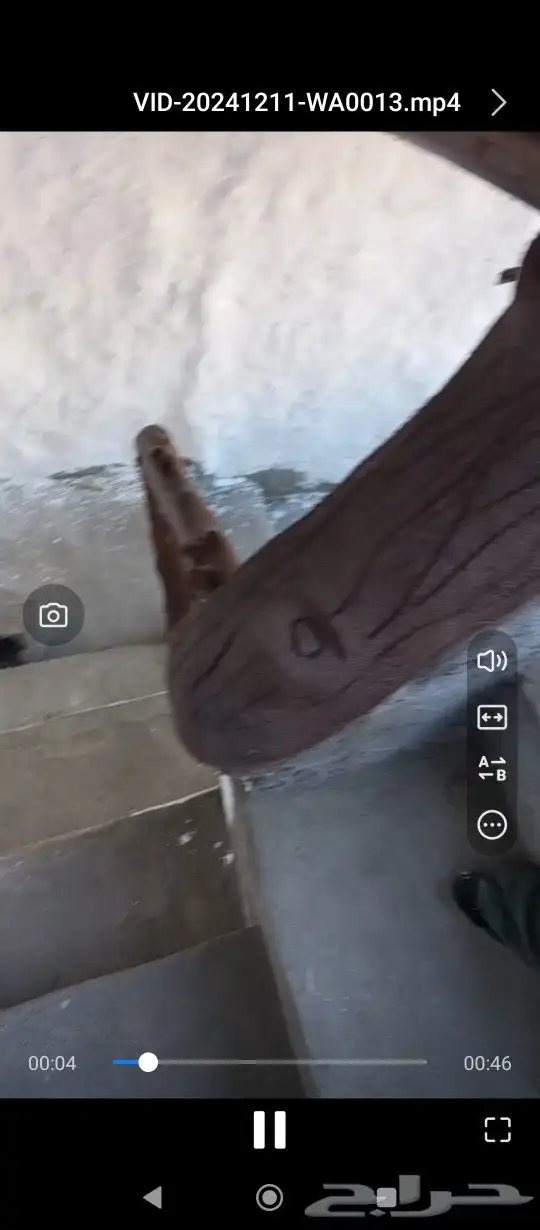 ترميم بيوت قديمه وتلبيس الحجر بانواعه وبناء 0