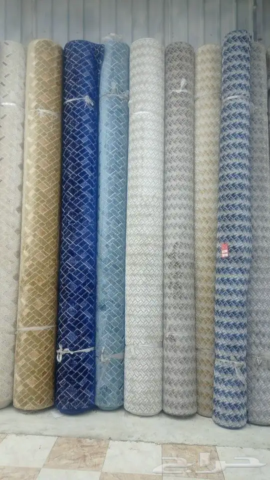 موقعنا فى بيشه 6