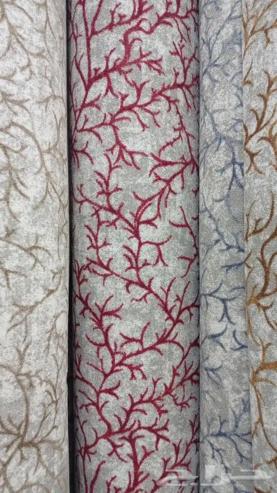 موقعنا فى بيشه 5