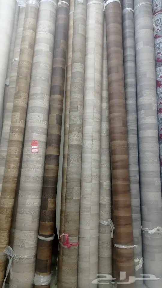 موقعنا فى بيشه 21