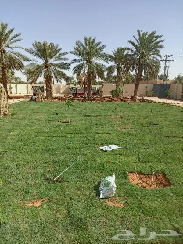 نجيله طبيعيه تركيب تيل طبيعي 4