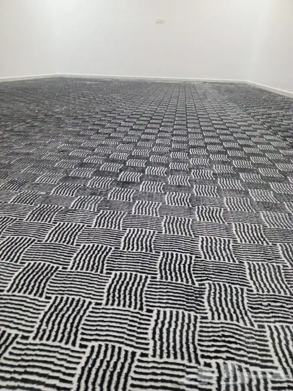 موقعنا فى بيشه 1