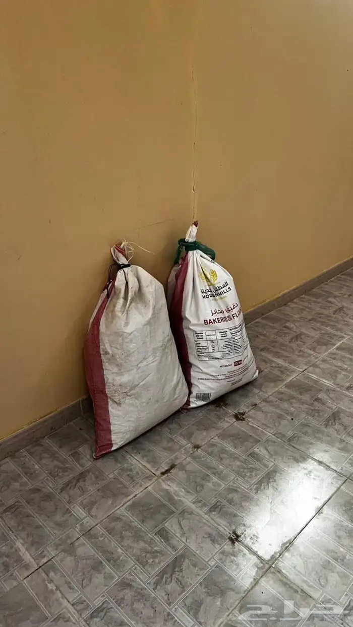 سدر ورنقاء 0