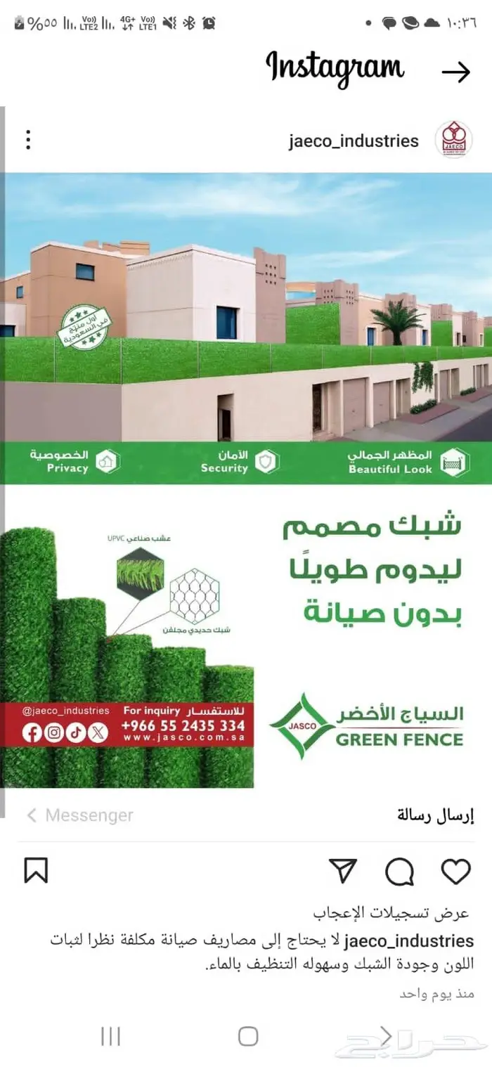 السياج الاخضر جاسكو 7