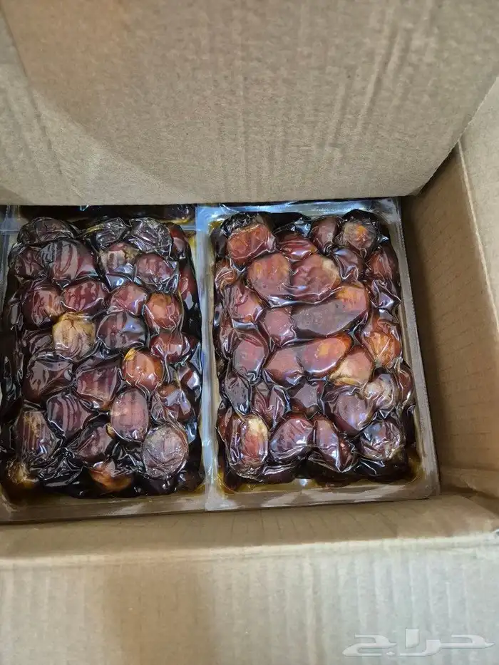 نبوت سيف 4