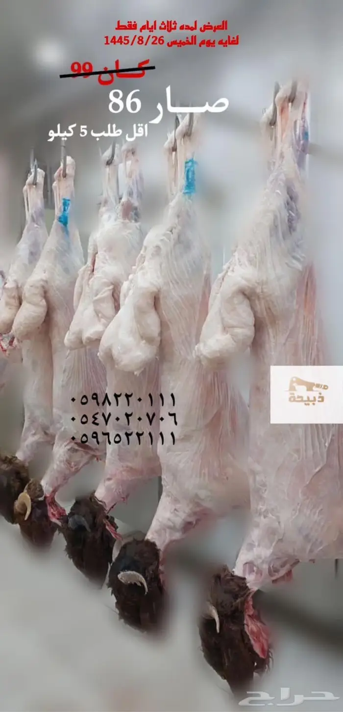 متجر ذبيحة 72