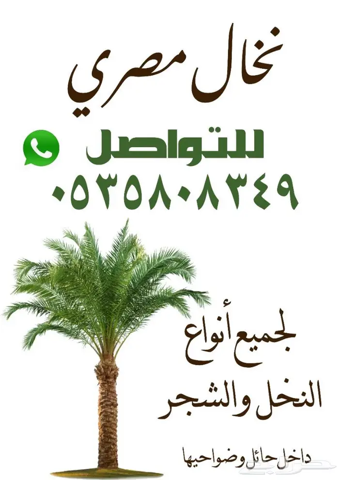 نخال مصري للعناية بالنخل والاشجار بحائل وضواحيها 0