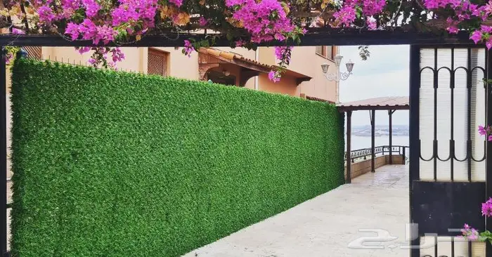السياج الاخضر جاسكو 4