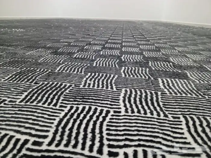 موقعنا فى بيشه 3