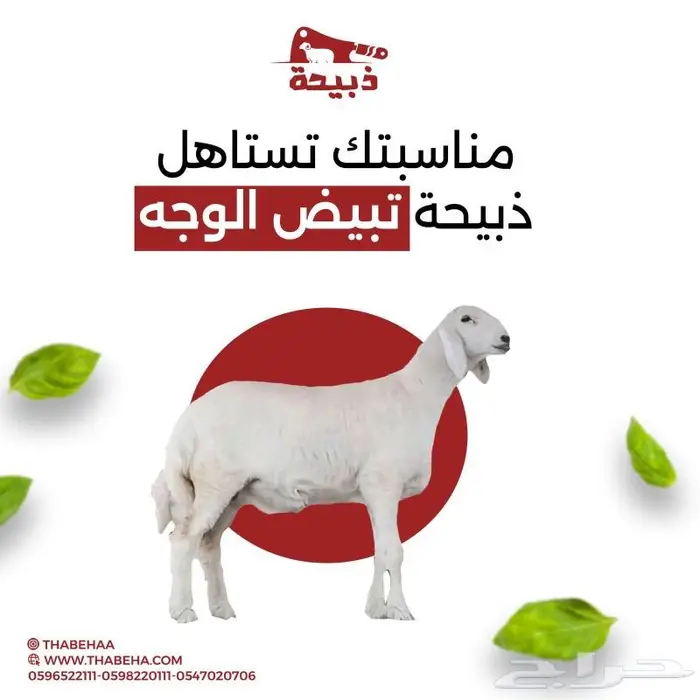 متجر ذبيحة 14