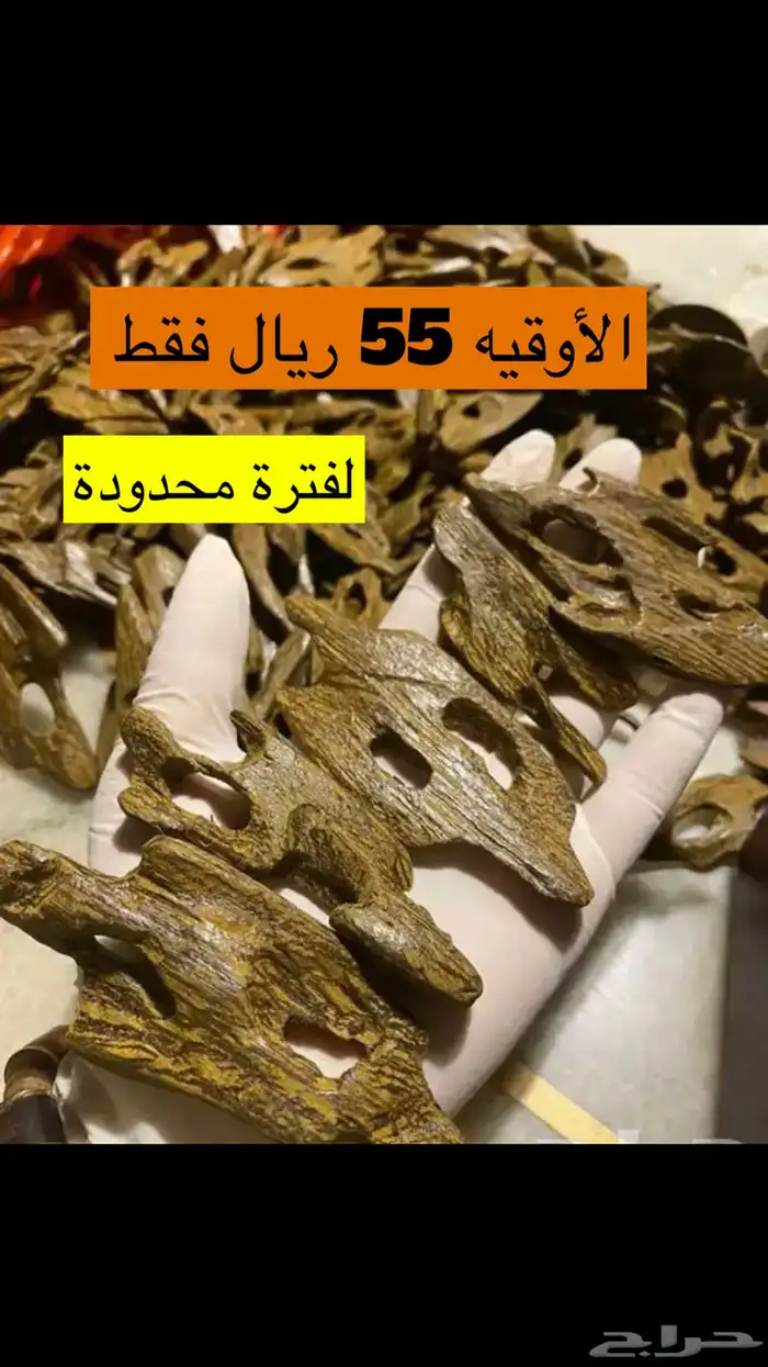 عود فيتنامي 0