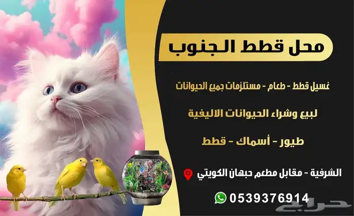 قطط طيور ترويش فندقه سمك مستلزمات حيوانات اليفه 26