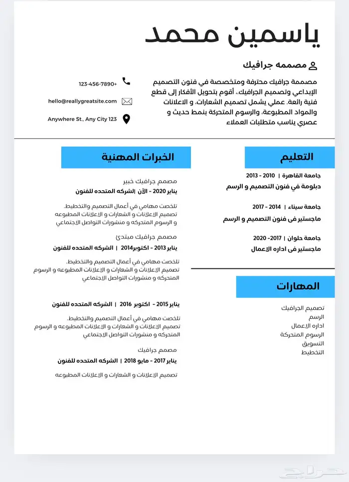 تصميم سيره ذاتيه بشكل احترافي واقل سعر 6