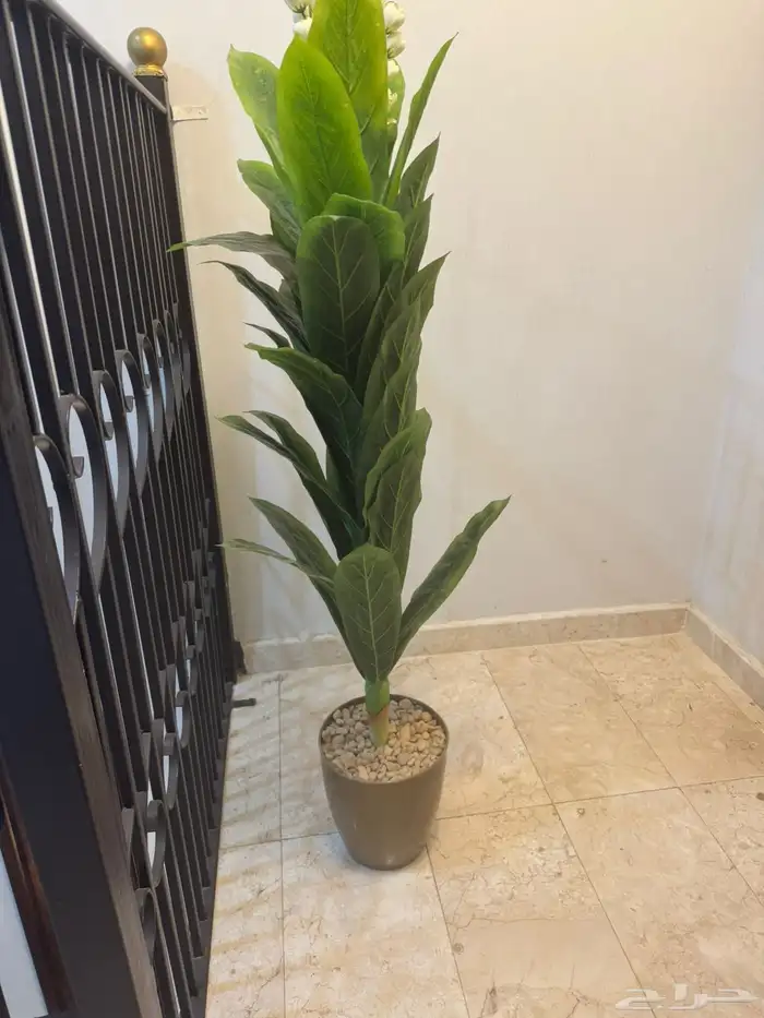 اثاث منزل (جديد) 9