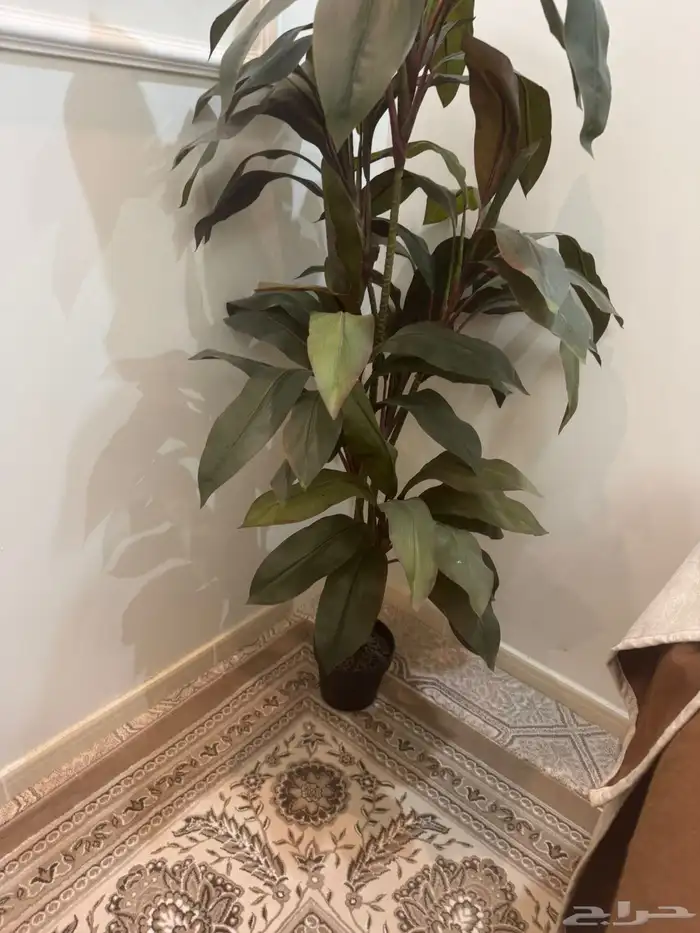 اثاث منزل (جديد) 18