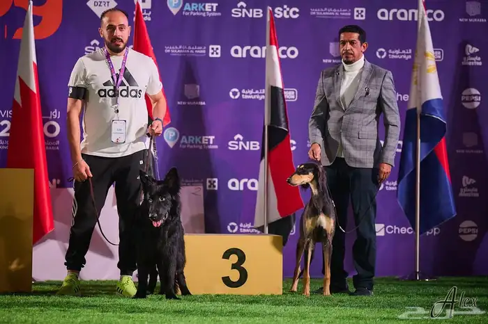 مدرب كلاب بالمنزل 1